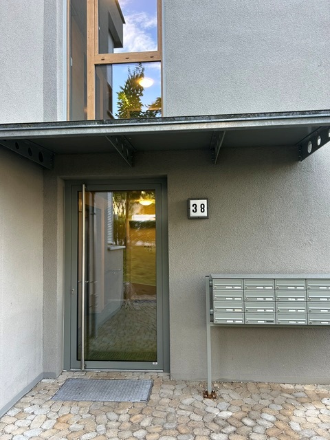mf38-11